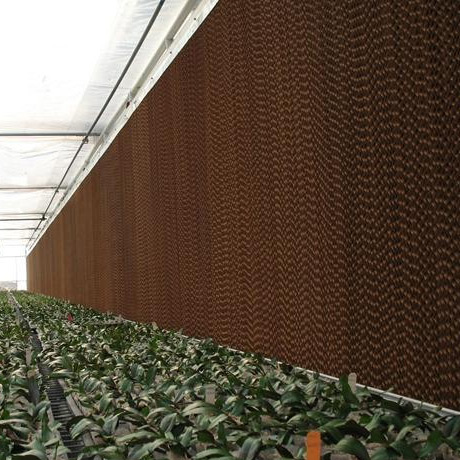 惠州東莞水簾紙廠家直銷