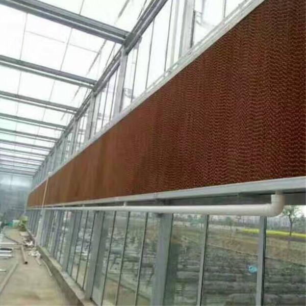 連云港東莞水簾紙供應