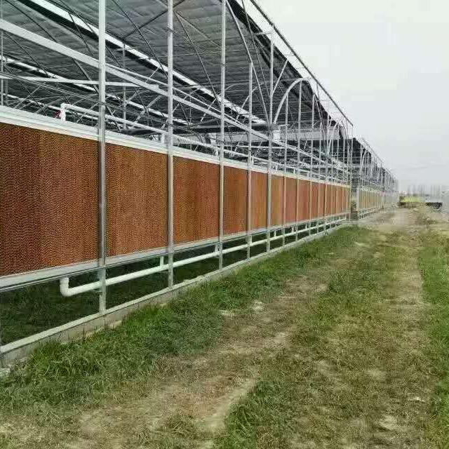 東莞水簾紙供應商