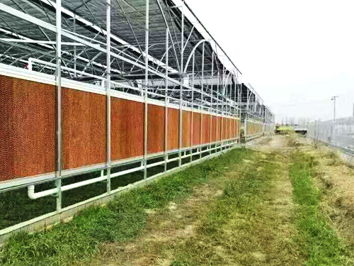 養(yǎng)殖場(chǎng)降溫解決方案